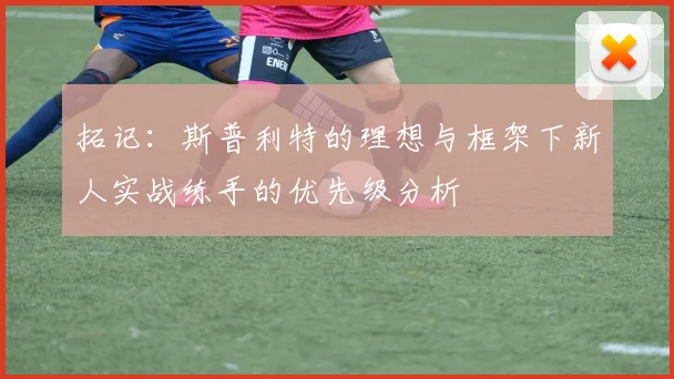 拓记：斯普利特的理想与框架下新人实战练手的优先级分析